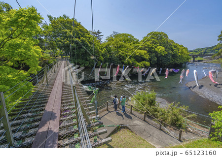 五竜の滝　こいのぼり　【静岡県】 65123160