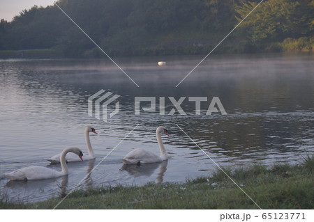 九州大分県志高湖キャンプ場 九州大分県志高湖キャンプ場 65123771