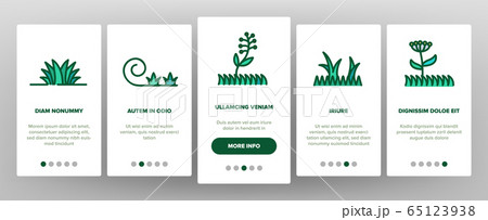 Grass Meadow Plant Onboarding Icons Set Vector 65123938