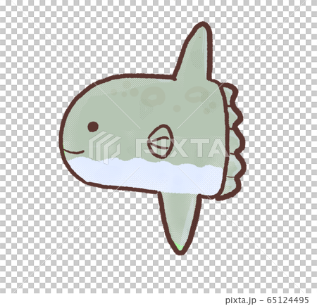 R: Cute sunfish C 65124495