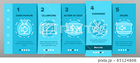 Aquarium Fish Decor Onboarding Icons Set Vector Aquarium Fish Decor Onboarding Icons Set Vector 65124806