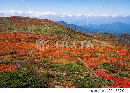 神の絨毯　日本一美しい山岳紅葉で知られる花の百名山、栗駒山（須川岳） 65125204