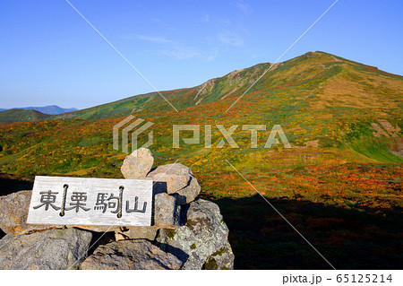 神の絨毯　日本一美しい山岳紅葉で知られる花の百名山、栗駒山（須川岳） 65125214