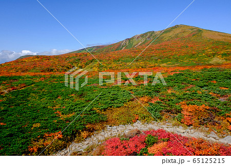 神の絨毯　日本一美しい山岳紅葉で知られる花の百名山、栗駒山（須川岳） 65125215