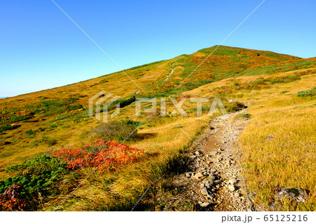 神の絨毯 日本一美しい山岳紅葉で知られる花の百名山、栗駒山(須川岳) 神の絨毯 日本一美しい山岳紅葉で知られる花の百名山、栗駒山(須川岳) 65125216