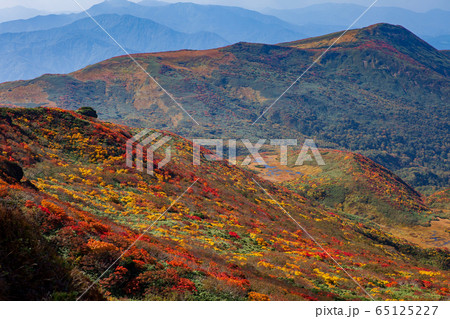 神の絨毯 日本一美しい山岳紅葉で知られる花の百名山、栗駒山(須川岳) 神の絨毯 日本一美しい山岳紅葉で知られる花の百名山、栗駒山(須川岳) 65125227
