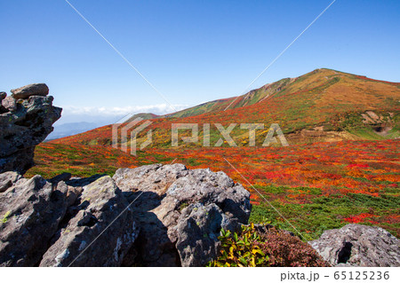 神の絨毯 日本一美しい山岳紅葉で知られる花の百名山、栗駒山(須川岳) 神の絨毯 日本一美しい山岳紅葉で知られる花の百名山、栗駒山(須川岳) 65125236