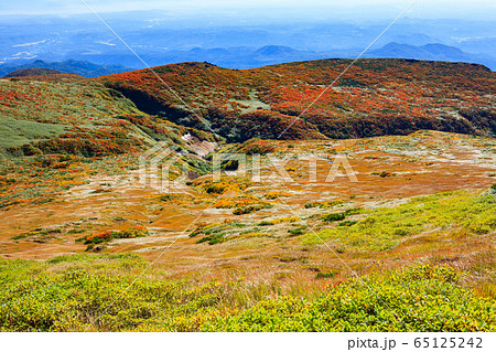 神の絨毯 日本一美しい山岳紅葉で知られる花の百名山 栗駒山 須川岳 の写真素材