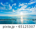 海 65125307