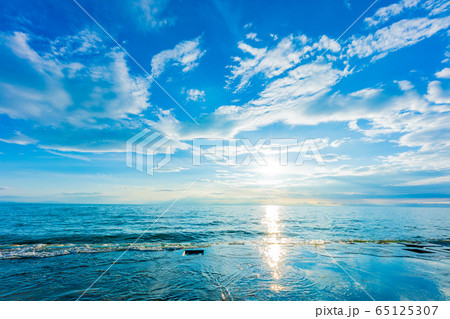 海 65125307