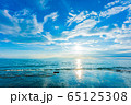 海 65125308