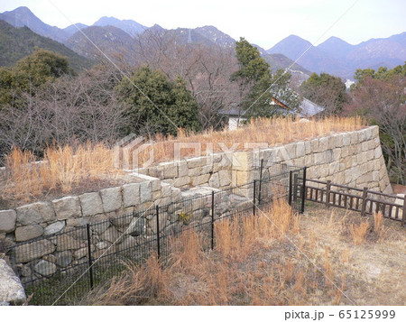 亀居城 65125999