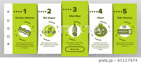Smoked Meat Barbecue Onboarding Icons Set Vector 65127974