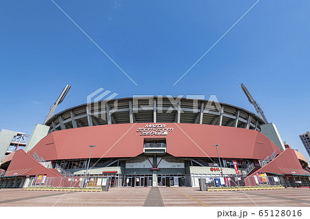 マツダスタジアム 65128016