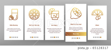 Lime Fruit Onboarding Icons Set Vector 65128317