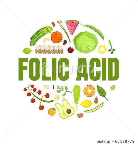 Folic Acid Banner Template, Healthy Vitamin Food, Products Containing Folic Acid of Round Shape Vector Illustration 65128778