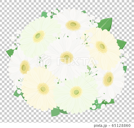 ガーベラと霞草の花束のイラスト 白 装花のイラスト素材