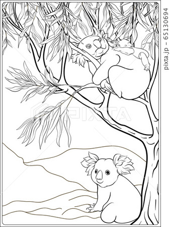 Koala and eucalyptus. Coloring page for the adult coloring book 65130694
