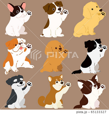 色々な犬おすわりセット お手 主線なしのイラスト素材