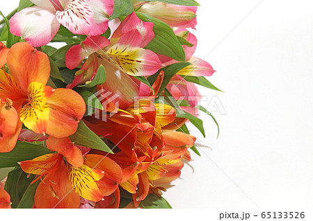 アルストロメリアの花束の写真素材