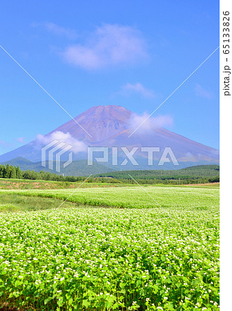 蕎麦畑と富士山-0876 蕎麦畑と富士山-0876 65133826