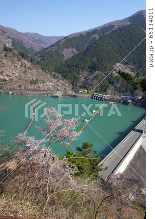 桜咲く奥多摩湖 頂上広場からの風景 桜咲く奥多摩湖 頂上広場からの風景 65134011