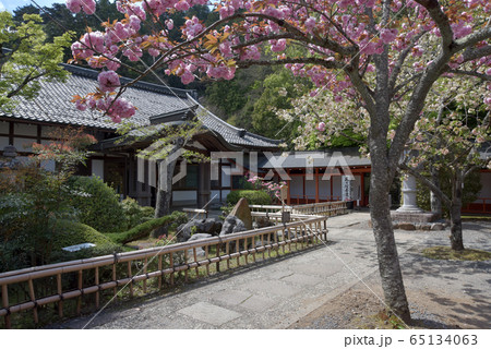 春の鞍馬寺 本坊 春の鞍馬寺 本坊 65134063