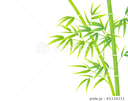 竹林のイラスト素材