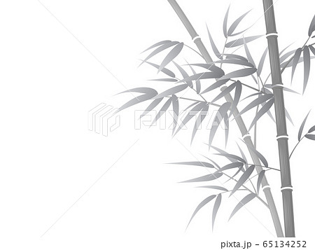 竹林 65134252