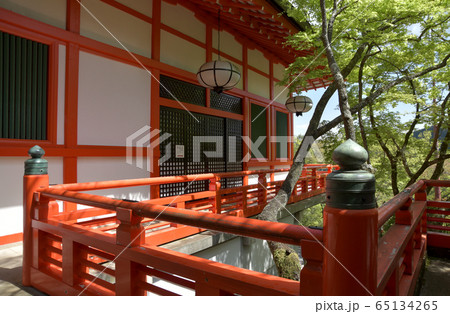 春の鞍馬寺　転法輪堂 65134265