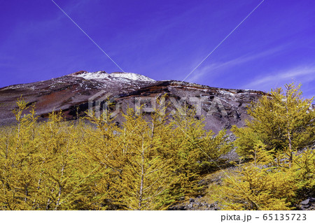 (静岡県)富士山富士宮口・宝永遊歩道から望む山頂 (静岡県)富士山富士宮口・宝永遊歩道から望む山頂 65135723