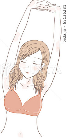 ビキニ姿の女性　上半身 65136281