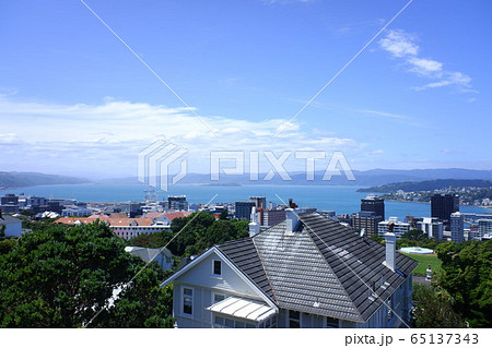 ウェリントン Wellington ウェリントン Wellington 65137343