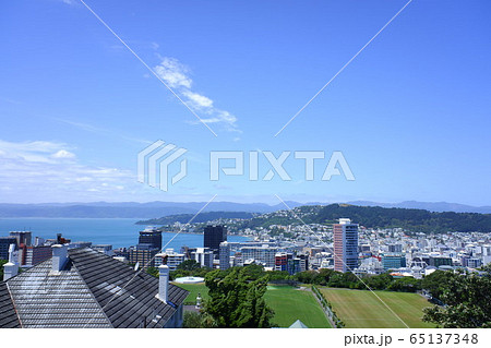 ウェリントン　Wellington 65137348