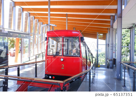 ウェリントン Wellington ウェリントン Wellington 65137351