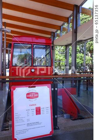 ウェリントン Wellington ウェリントン Wellington 65137356