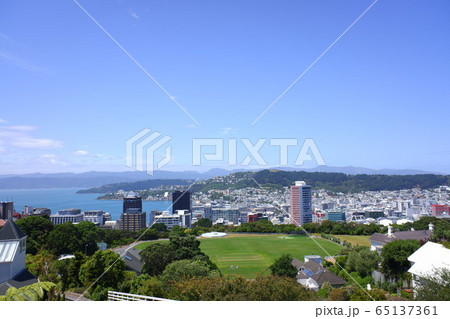 ウェリントン Wellington ウェリントン Wellington 65137361