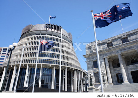 ウェリントン Wellington ウェリントン Wellington 65137366