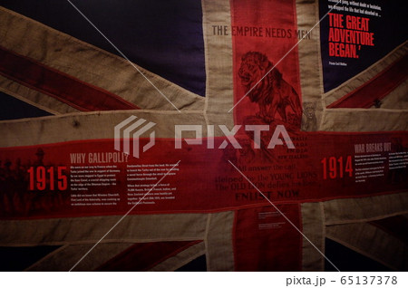 ウェリントン　Wellington 65137378