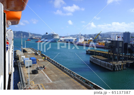 ウェリントン　Wellington 65137387