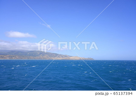 ウェリントン Wellington ウェリントン Wellington 65137394