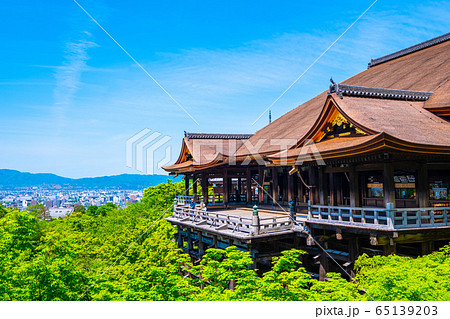 新緑の清水寺 新緑の清水寺 65139203