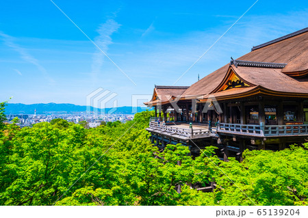 新緑の清水寺 65139204