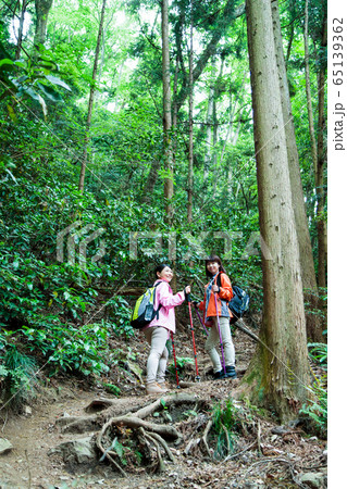 登山　女性　山ガール　トレッキング　山登り　山　アウトドア　ハイキング 65139362
