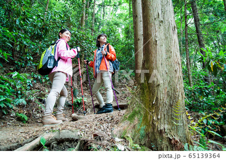 登山　女性　山ガール　トレッキング　山登り　山　アウトドア　ハイキング 65139364