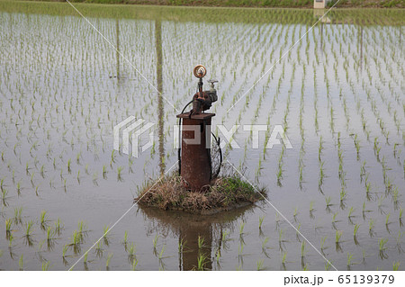 農業用井戸跡 65139379
