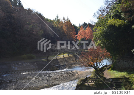龍門の滝　2019－11－30　＃63 65139934