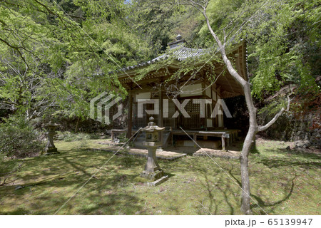 新緑の金蔵寺　開山堂 65139947