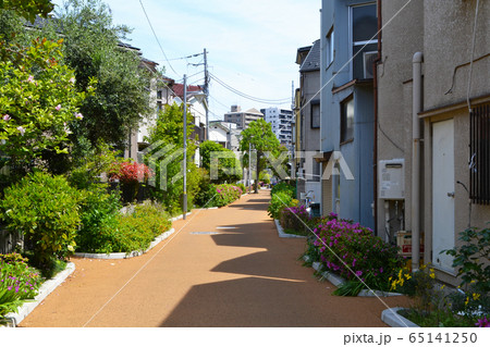 足立市場　東京都魚市場専用線（貨物線）の廃止跡　やっちゃば緑道 65141250