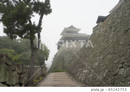 高知城 65142753